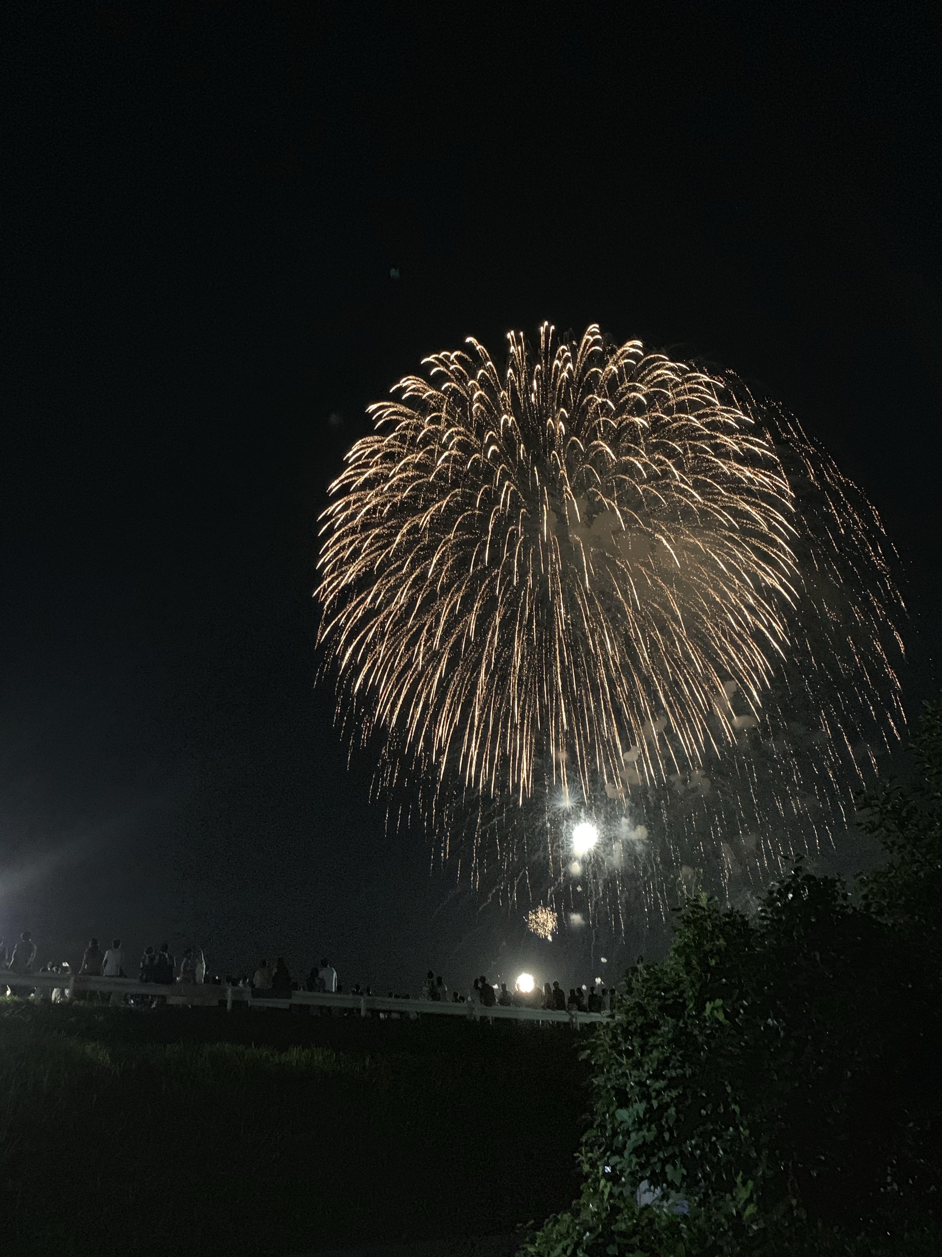 夏の風物詩 | 新大家ライフ